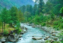 Top things to do in Tirthan Valley, a hidden gem in the Himalayas